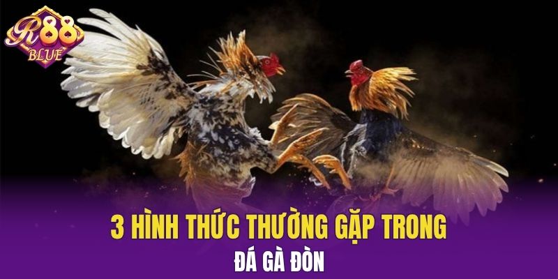 3 hình thức thường gặp trong đá gà đòn
