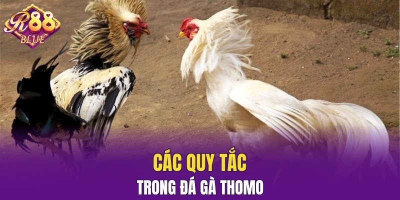 Các quy tắc trong đá gà Thomo