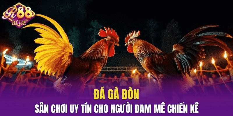 Đá gà đòn
