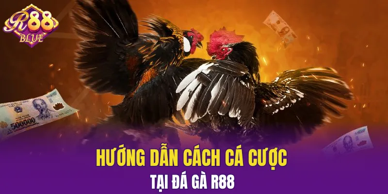 Các hình thức tham gia cược đá gà R88