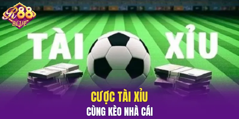 Không thể bỏ lỡ trận cược tài xỉu hấp dẫn