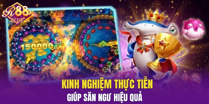 Kinh nghiệm thực tiễn giúp săn ngư hiệu quả