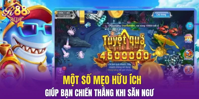 Một số mẹo hữu ích giúp bạn chiến thắng khi săn ngư