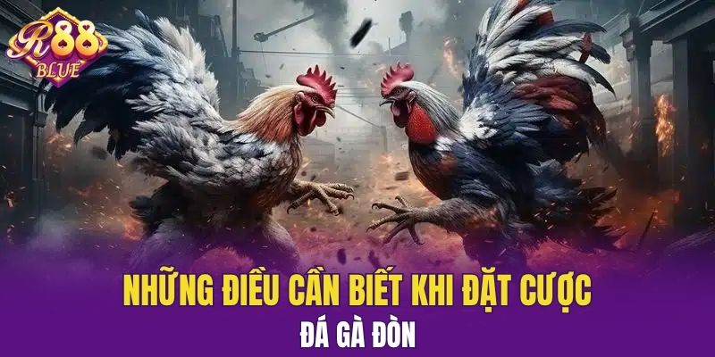 Những điều cần biết khi đặt cược đá gà đòn