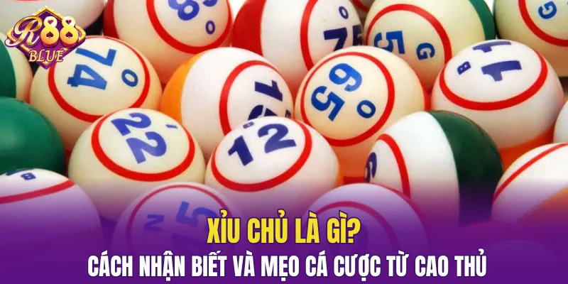 xỉu chủ là gì